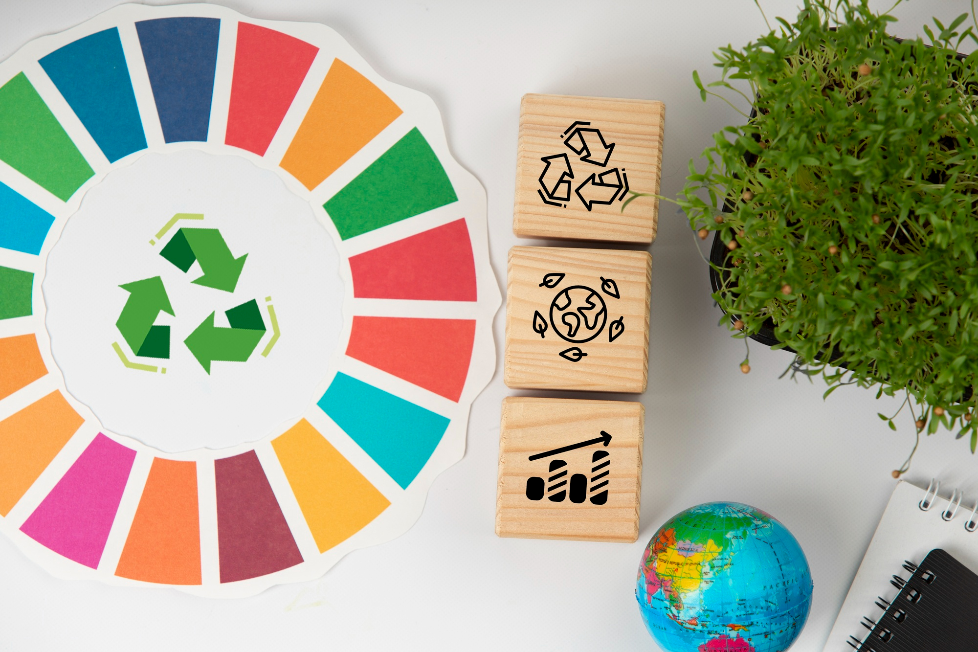 Sustainable Development Goals (SDGs) Investing: Aligning Profit with Purpose
